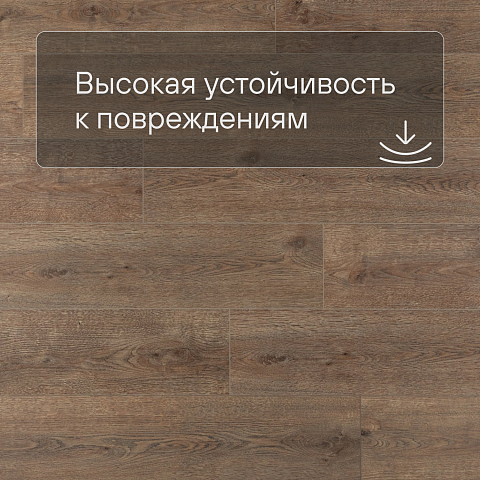 Alpine Floor SPC Solo Plus (RUS) ЕСО 14-301 Ларгетто 4V 43кл (фото 5)