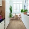 QS Second choice Alpha BLOS BASE  SPE40322 - AVSPT 40322 Дуб береговой песчаный (миниатюра фото 11)