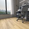 Laminext Revolute 4V Дуб Ортега 1402 (миниатюра фото 5)