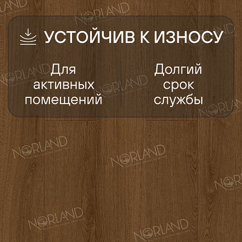 Norland Elegant 8 4V 33 (CH) LF301-20 Дуб Этна (фото 3)