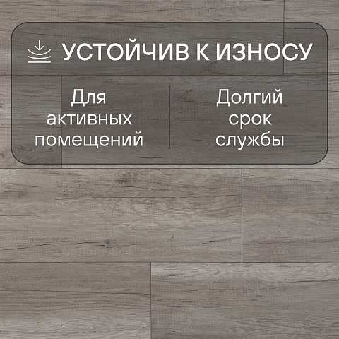Harmony Forte/Гармония Силы 4V WR 55858 Дуб Сельма (фото 6)