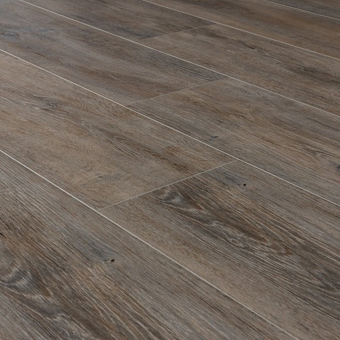 EvoFloor Home (Rus) Oak Ashen (фото 8)