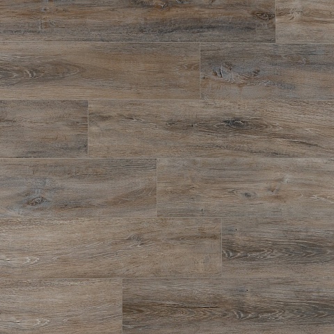 EvoFloor Home (Rus) Oak Ashen (фото 1)