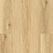 Laminext Revolute 4V Дуб Эрнест 1405 (миниатюра фото 11)