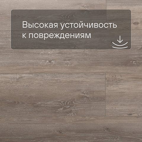 My Step Stone MS8708 Ламинат Дуб Меру 8 мм класс 33/АС5 с фаской (фото 5)