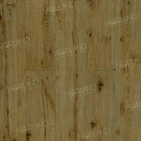 Norland Elegant 8 4V 33 (CH) LF301-14 Дуб Скай (фото 1)