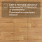 Premium AS Falco 2_1159 (миниатюра фото 16)