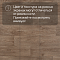 Arkada Samson 12_161L - 3.1 (миниатюра фото 13)