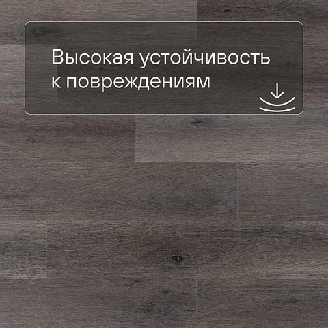 Norland Sigrid SPC (CH) 1001-7 Baggy 4V 34кл (фото 5)