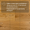 DW FLOORING 14 мм Дуб золотистый DW T008 лак матовый с фаской (миниатюра фото 5)