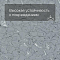 Colorex SD 150207 Quartz (миниатюра фото 5)
