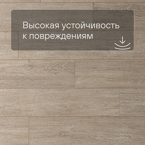 Deck Impulse 4V 025 Генуя (фото 5)