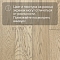 DW FLOORING 13 мм Дуб бежевый серый DW 12-11 лак матовый с фаской (миниатюра фото 5)
