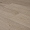 QS Second choice Alpha BLOS BASE  SPE40322 - AVSPT 40322 Дуб береговой песчаный (миниатюра фото 7)