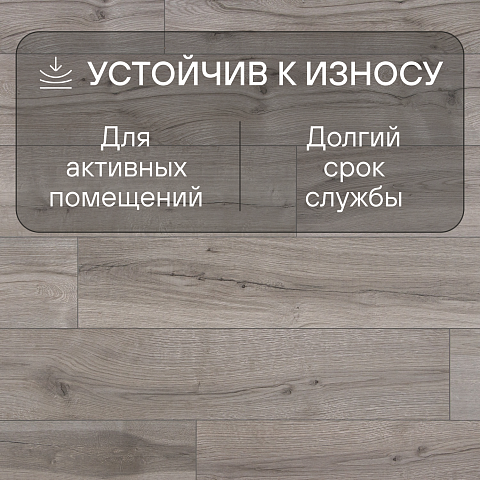 Casa Energy/Энергия Дома 4V WR 54042 Дуб Хобан (фото 6)