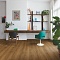 QS Alpha Vinyl BLOOM планка AVMPU 40315 Эко карамельный (миниатюра фото 12)