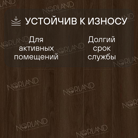Norland Elegant 8 4V 33 (CH) LF301-22 Дуб Треско (фото 3)