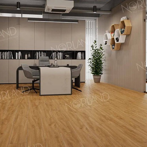 Norland Elegant Strong 12 4V 34 (CH) LF302-10 Дуб Хонсю (фото 9)
