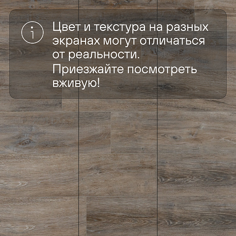 EvoFloor Home (Rus) Oak Ashen (фото 14)