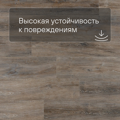 EvoFloor Home (Rus) Oak Ashen (фото 5)