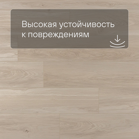 EvoFloor Home (Rus) Ash Light (фото 5)