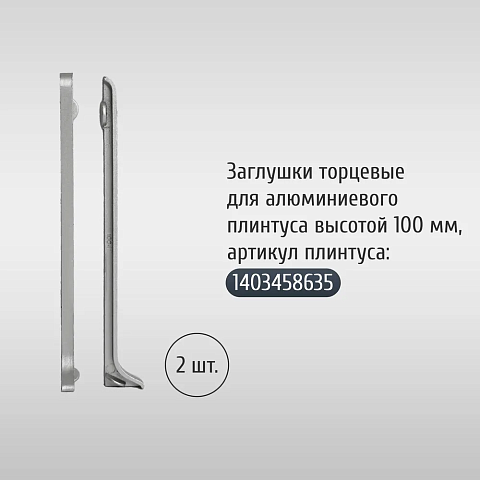 Торцевой левый Алюминий, 100мм/ Серебро (фото 2)