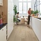 QS Second choice Alpha BLOS BASE  SPE40322 - AVSPT 40322 Дуб береговой песчаный (миниатюра фото 10)