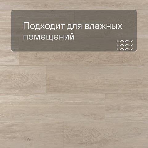 EvoFloor Home (Rus) Ash Light (фото 2)