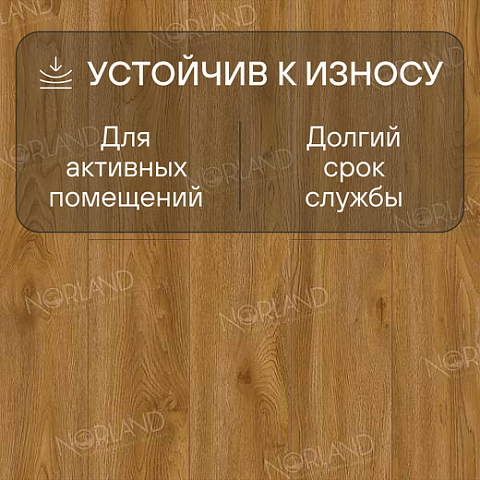 Norland Elegant Strong 12 4V 34 (CH) LF302-10 Дуб Хонсю (фото 3)