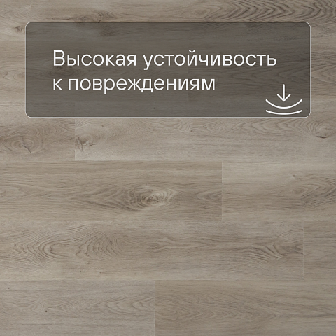QS SPC Canyon CSPC 20294 Дуб северный бежевый (фото 5)