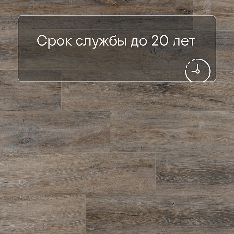 EvoFloor Home (Rus) Oak Ashen (фото 6)