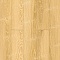 Norland Elegant 8 4V 33 (CH) LF301-07 Дуб Тавора (миниатюра фото 1)